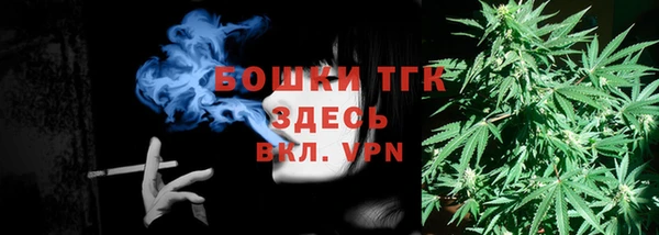 спиды Дмитриев